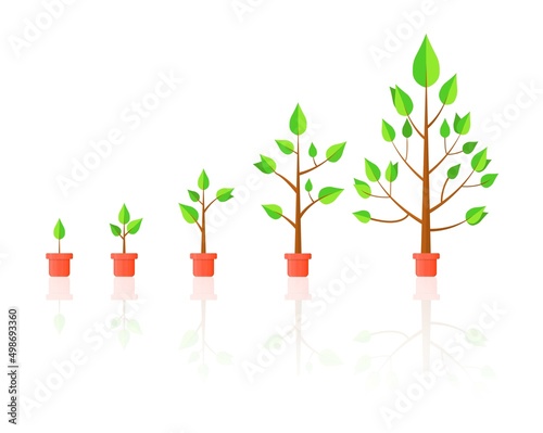 Life Cycle Timeline and growth metaphor, tree growth stages from seed to large plant. Colorful cartoon style flat vector illustration.