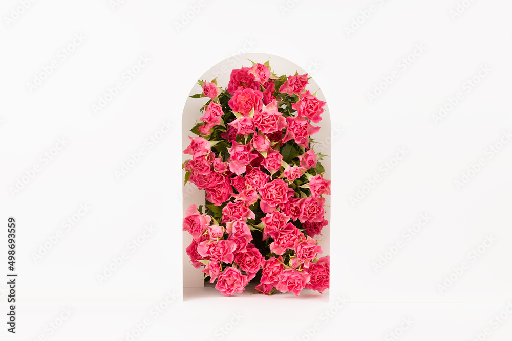 Beauty fresh pink roses as decorative arch in rounded niche on white scene mockup for display cosmetics, goods, advertising, design of poster, card, flyer. Delicate spring template for woman's day. Beauty fresh pink roses as decorative arch in rounded niche on white scene mockup for display cosmetics, goods, advertising, design of poster, card, flyer. Delicate spring template for woman's day.