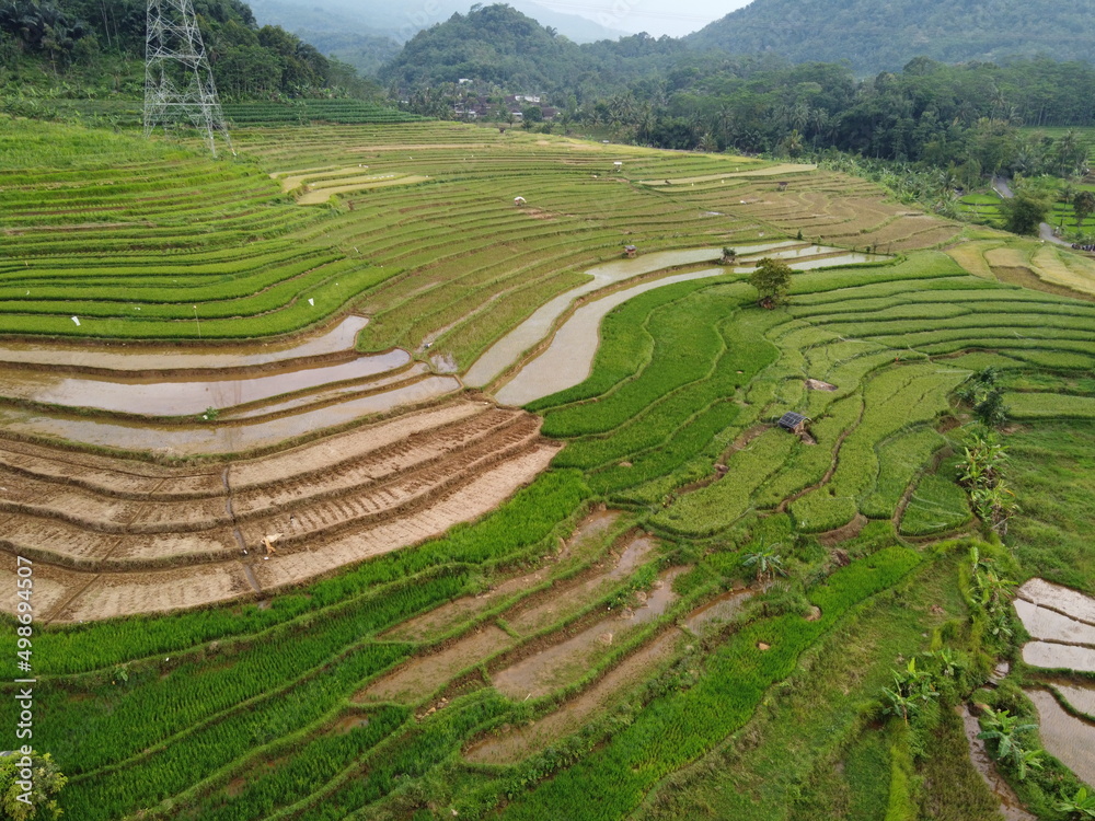 aerial panorama of agrarian rice fields landscape in the village of kendal, Central Java, like a terraced rice fields ubud Bali Indonesia aerial panorama of agrarian rice fields landscape in the village of kendal, Central Java, like a terraced rice fields ubud Bali Indonesia