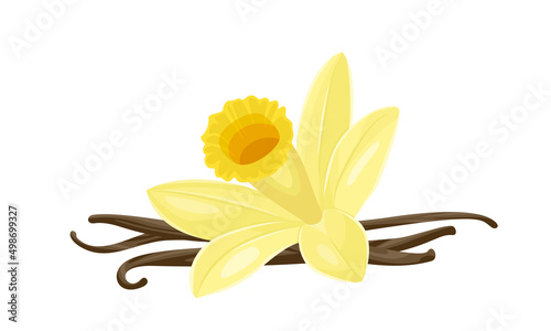 Vanilla flower and sticks. Vector cartoon flat illustration.