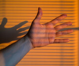 Man's hand at sunset with light from the sun.