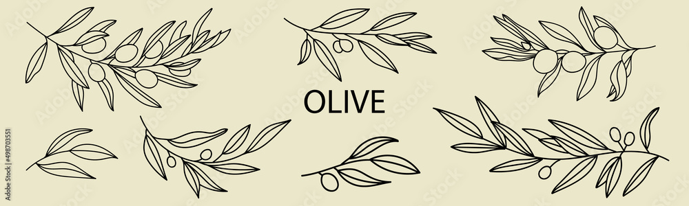 A set of Silhouettes of Olive Branches isolated on a light background in a simple style. Vector Illustrations of Olive Tree Branches With fruits and Leaves to create logos, patterns, and more