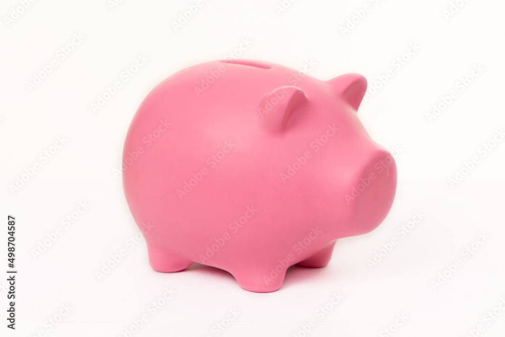 Mocap. Pink piggy bank for money, coins, banknotes on a white background.