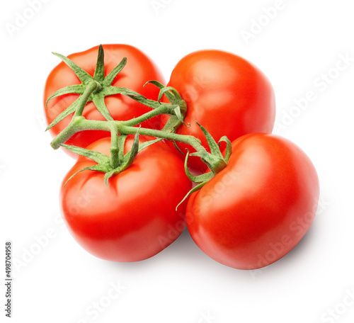 fresh tomatoes with a sprig isolated on a white.the entire image is sharpness.