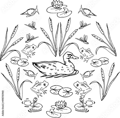 Vector set of doodle inhabitants of the pond, swamp isolated on white background. Animals and plants: snails, reeds, water lilies, ducks, frogs, dragonflies. Hand drawing.