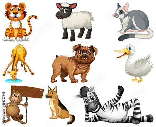 Set of animal cartoon character