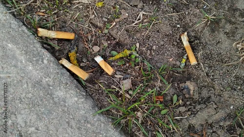 Wallpaper Mural Discarded cigarette buds on the road irresponsibly Torontodigital.ca