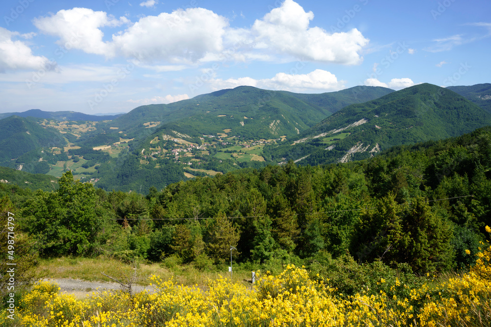 Summer landscape along the road to Passo della Cisa in Parma province