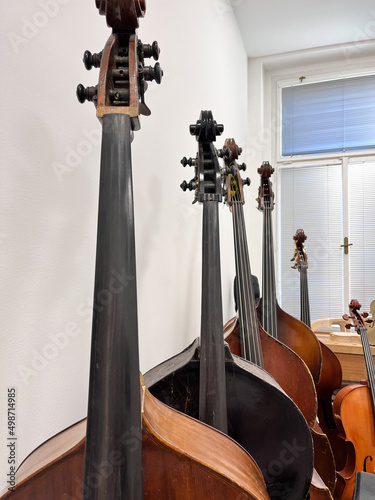 Row of multiple double basses tops with white background, musician workshop photo