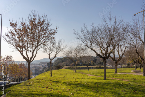 Park in the center of the tourist city. Urban environment. Cityscape with a beautiful view. Bright greenery illuminated by the sun.