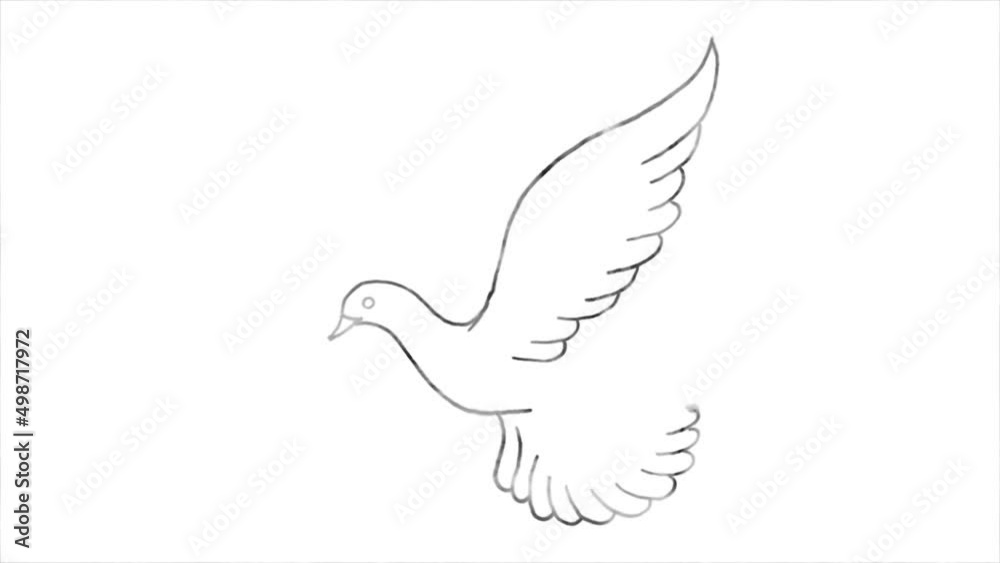 Drawn pigeon with an olive leaf, a symbol of peace. Drawn pigeon with an olive leaf, a symbol of peace.