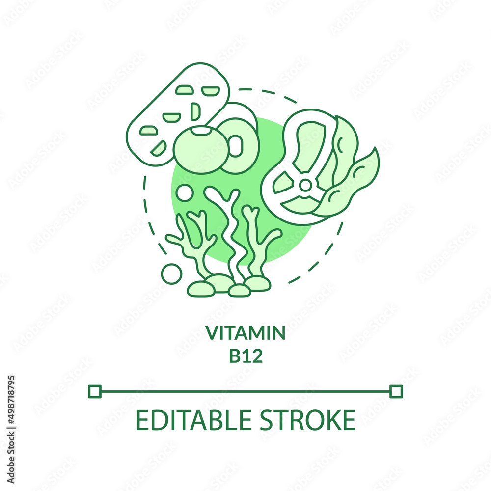 Cobalamin green concept icon. Plant based meat. Vitamin B. Source of nutrients abstract idea thin line illustration. Isolated outline drawing. Editable stroke. Arial, Myriad Pro-Bold fonts used Cobalamin green concept icon. Plant based meat. Vitamin B. Source of nutrients abstract idea thin line illustration. Isolated outline drawing. Editable stroke. Arial, Myriad Pro-Bold fonts used