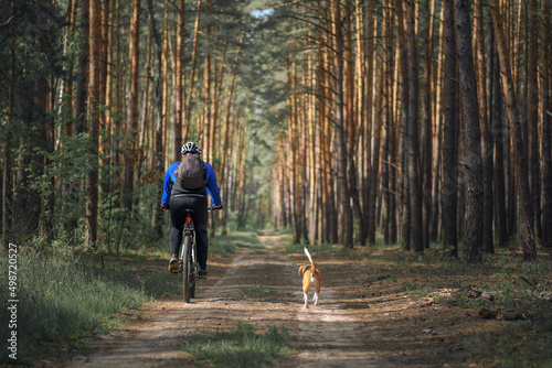 Man cycling with a dog through the forest. Back view of man riding bicycle together with his beagle dog pet running nearby. Traveling with a dog