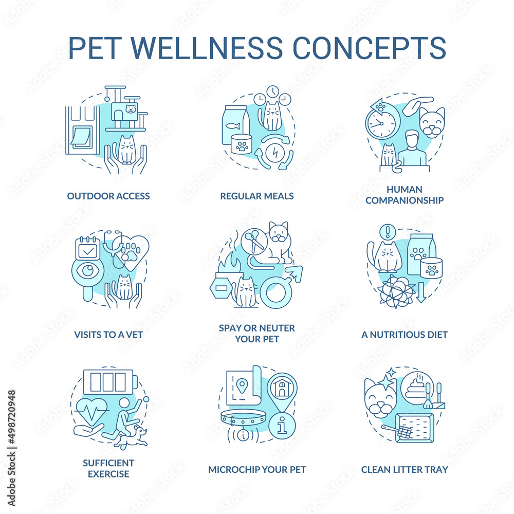 Pet wellness turquoise concept icons set. Feline and canine wellbeing idea thin line color illustrations. Regular meals. Isolated symbols. Editable stroke. Roboto-Medium, Myriad Pro-Bold fonts used