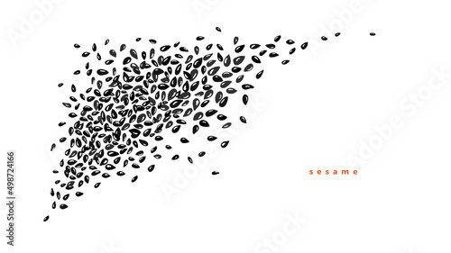 Pile of black sesame, cumin seeds, top view Vector