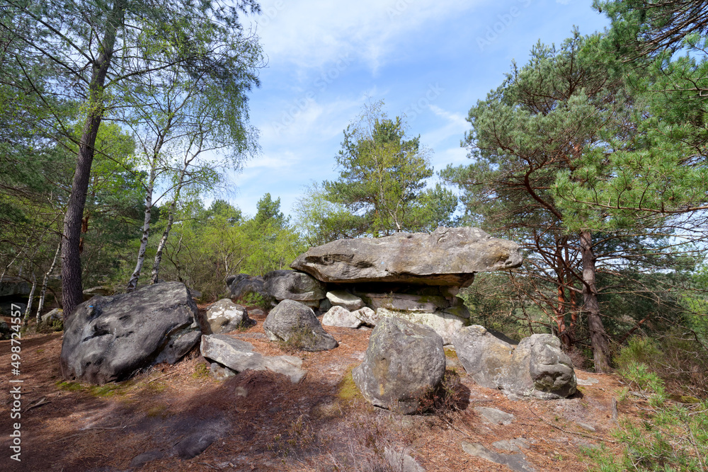 Fototapeta premium Famous rock formations in the belvederes path. Fontainebleau forest