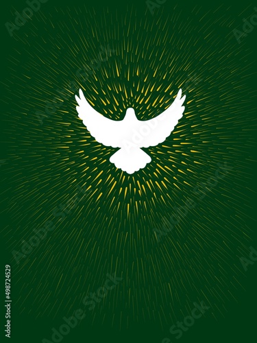 Disegno grafico colomba bianca pasquale con luce dorata raggiante sfondo verde photo