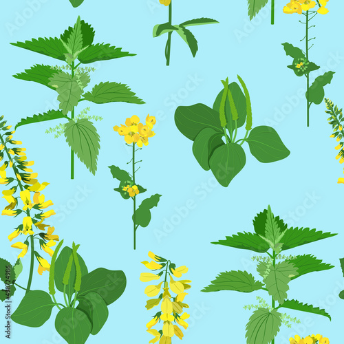 Wildflowers on a blue background. Summer vector illustration. To decorate textiles, packaging.