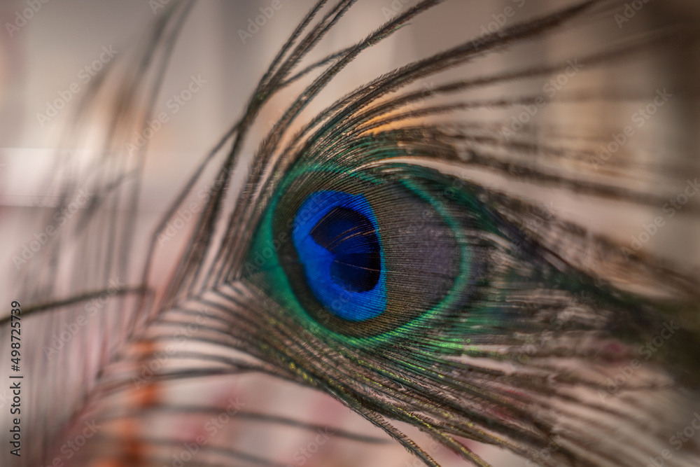 Obraz premium Amsterdam