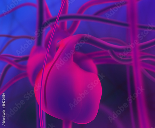abstract human heart photo