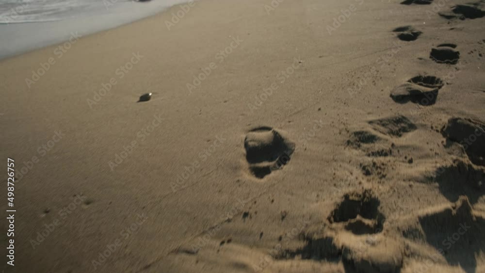 Beach in the setting sun and sea waves along the shore. Dog footprints in the sand close up. Beach in the setting sun and sea waves along the shore. Dog footprints in the sand close up.