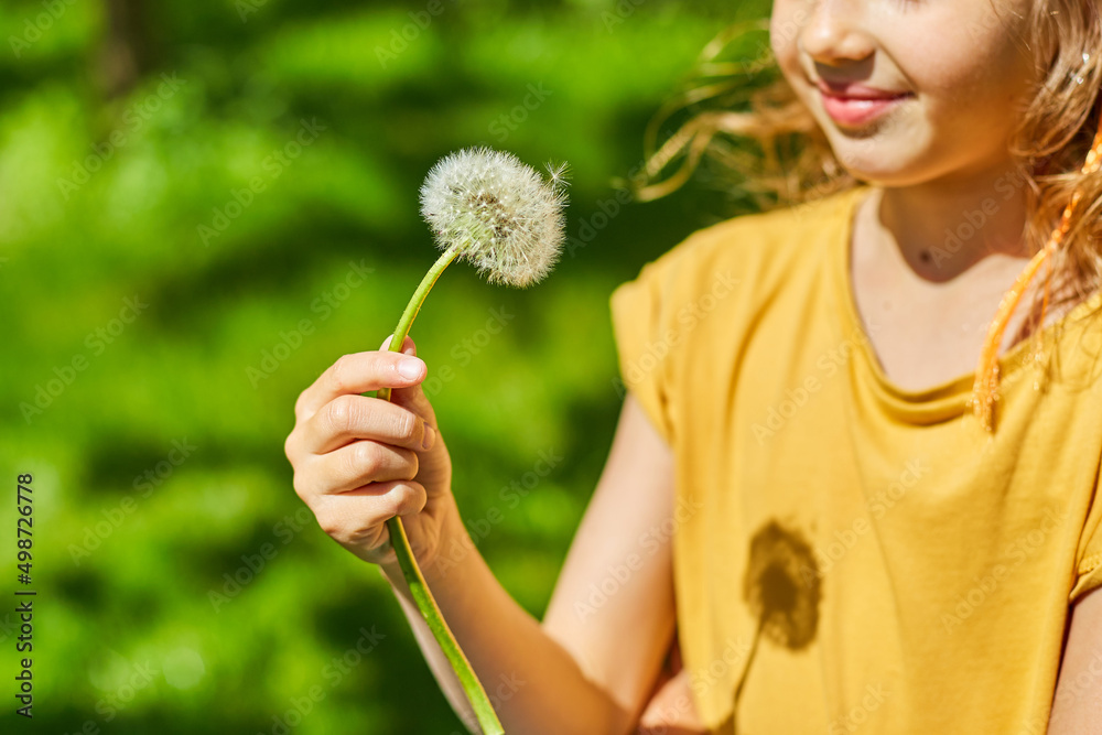 Adorable little girl blowing on a dandelion on a sunny summer day Adorable little girl blowing on a dandelion on a sunny summer day