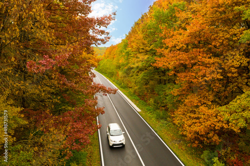 Bild auf Leinwand Aerial view of road going through beautiful autumn forest