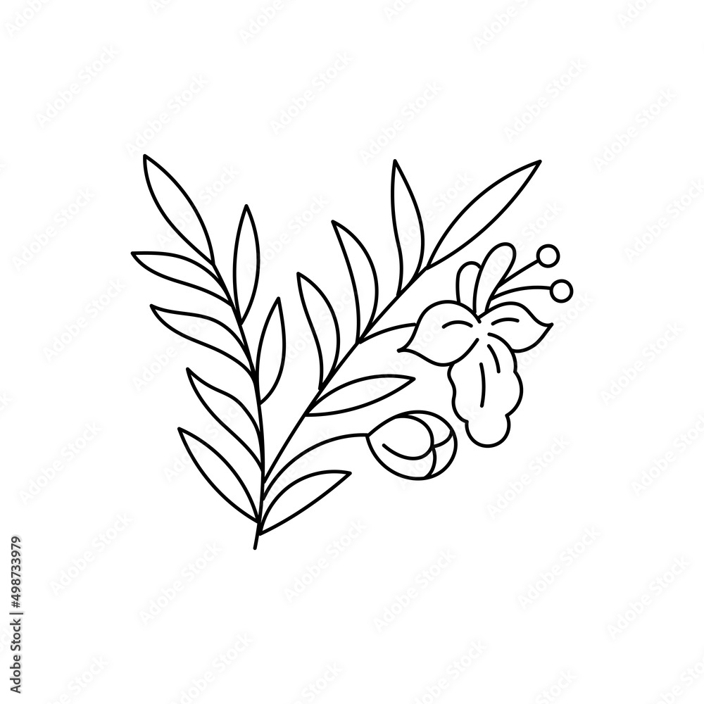 Fototapeta premium Rosemary spices. Cooking ingredient. Line icon. Editable stroke size. Open paths. Vector sketch illustration.