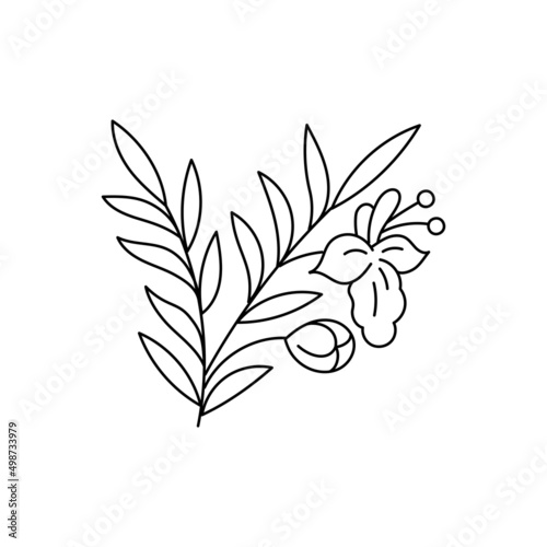 Fototapeta Naklejka Na Ścianę i Meble -  Rosemary spices. Cooking ingredient. Line icon. Editable stroke size. Open paths. Vector sketch illustration.