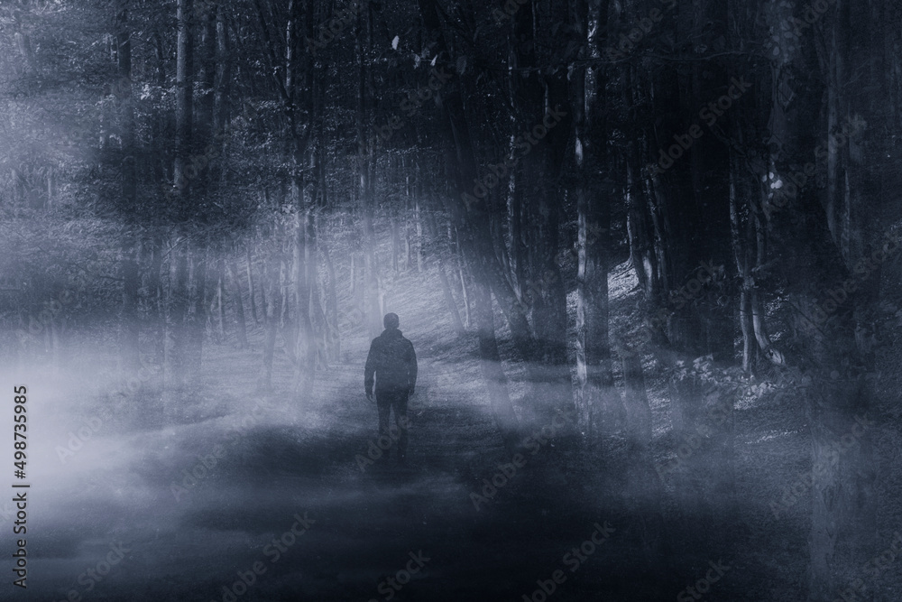 Obraz premium silhouette of a man walking in the woods at night
