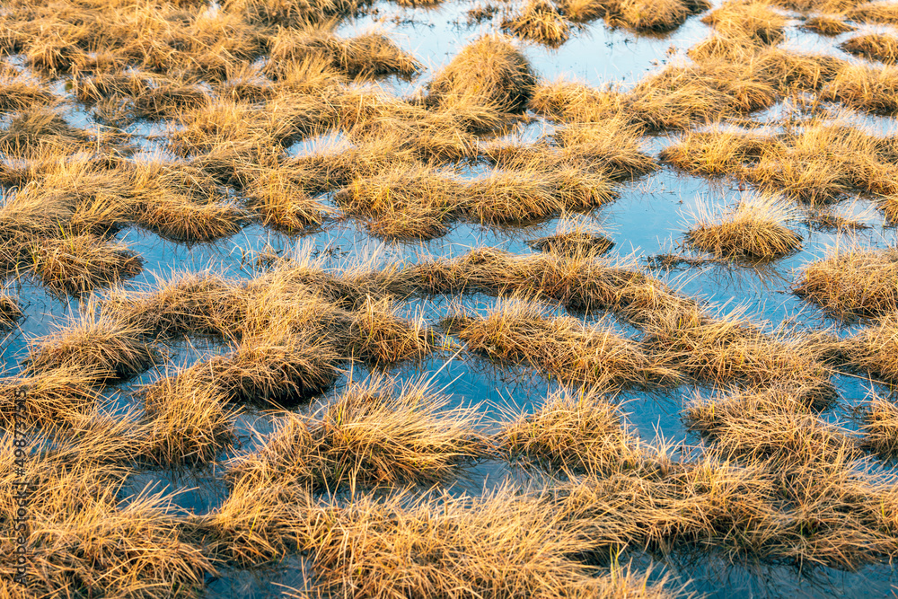 Grass in lake pattern. Natural background outdoors in nature. Grass in lake pattern. Natural background outdoors in nature.