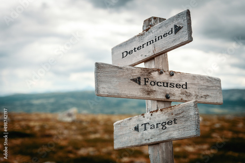 determined focused target text quote written in wooden signpost outdoors in nature. Moody theme feeling. photo