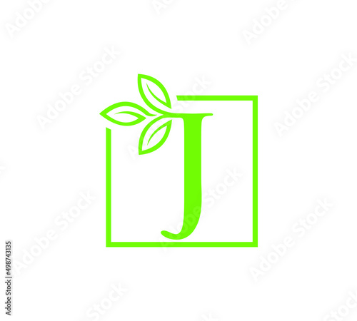 Letter with leaf logo design	 photo