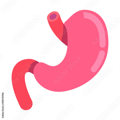 Stomach semi flat color vector object. Human organ anatomy. Full sized item on white. Internal organ. Surgical procedure. Simple cartoon style illustration for web graphic design and animation