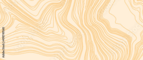 White wave paper curved reliefs abstract background, Abstract topographic contours map, Topographic background and texture, monochrome. White wave paper curved reliefs abstract background.