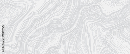 White wave paper curved reliefs abstract background, Abstract topographic contours map, Topographic background and texture, monochrome. White wave paper curved reliefs abstract background.