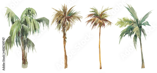 Watercolor palm tree set. Hand painted exotic green branches and palms isolated on white background. Botanical illustration. Collection of tropical plants