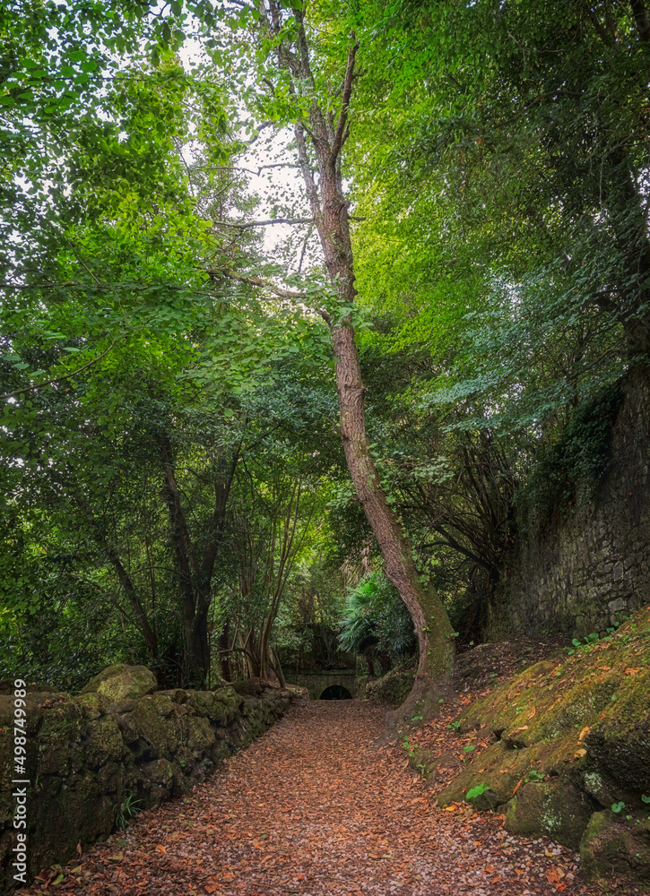 landscapes near the town of Liérganes, town of Cantabria, Spain. landscapes near the town of Liérganes, town of Cantabria, Spain.