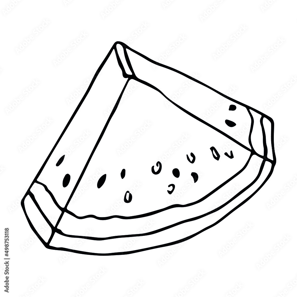 Vector watermelon clipart. Hand drawn melon outline icon. Fruit