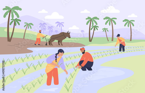 Indian village landscape with happy farmers working. Paddy field, farm with palm trees, cartoon men and women standing in water flat vector illustration. Agriculture, farming, India concept for banner