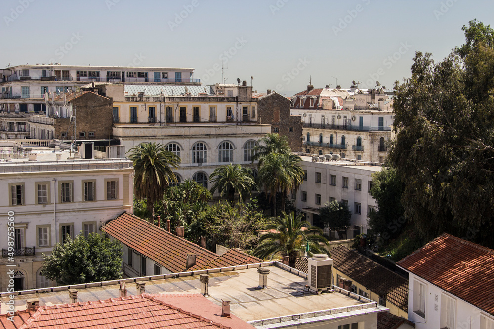 Obraz premium Algiers skyline, city view from the hill, Algiers, Algeria