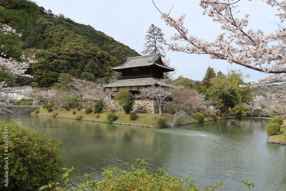 Kinun-kaku Residence and the pond in Kikkou-kouen Park in Yamaguchi City in Yamaguchi Prefecture in Japan 日本の山口県山口市にある吉香公園の錦雲閣と池 Kinun-kaku Residence and the pond in Kikkou-kouen Park in Yamaguchi City in Yamaguchi Prefecture in Japan 日本の山口県山口市にある吉香公園の錦雲閣と池