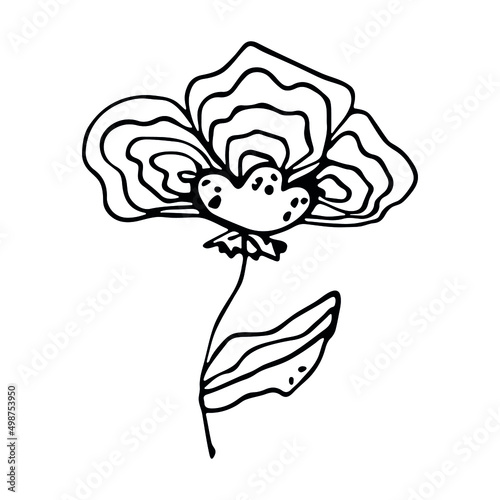 Vector simple flower doodle clipart. Hand drawn floral illustration isolated on white background. For print, web, design, decor, logo.
