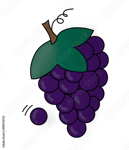 illustration of grapes on a branch