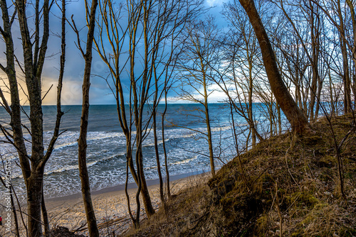 Morze Bałtyckie, brzegi klifowe w okolicach Jastrzębiej Góry w Polsce © Franciszek
