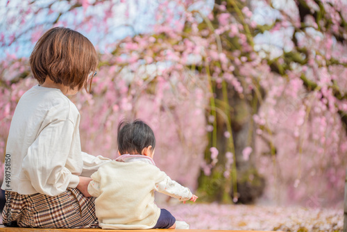 親子　母親　子供　梅の花　花見