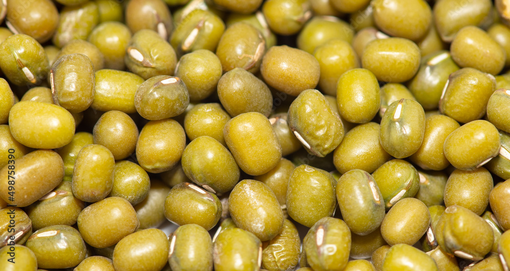 Mung beans as a background. Mung beans as a background.