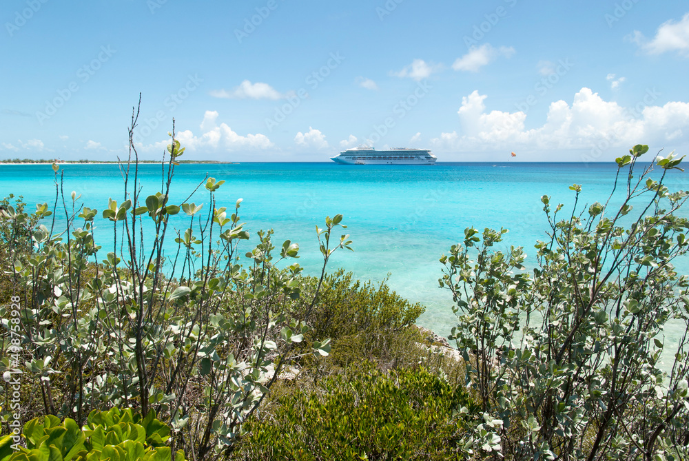 Half Moon Cay Island Greenery And A Cruise Ship Half Moon Cay Island Greenery And A Cruise Ship