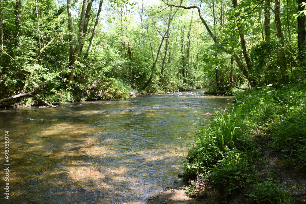 Fototapeta premium Río Fuensanta-Nava-Asturias.