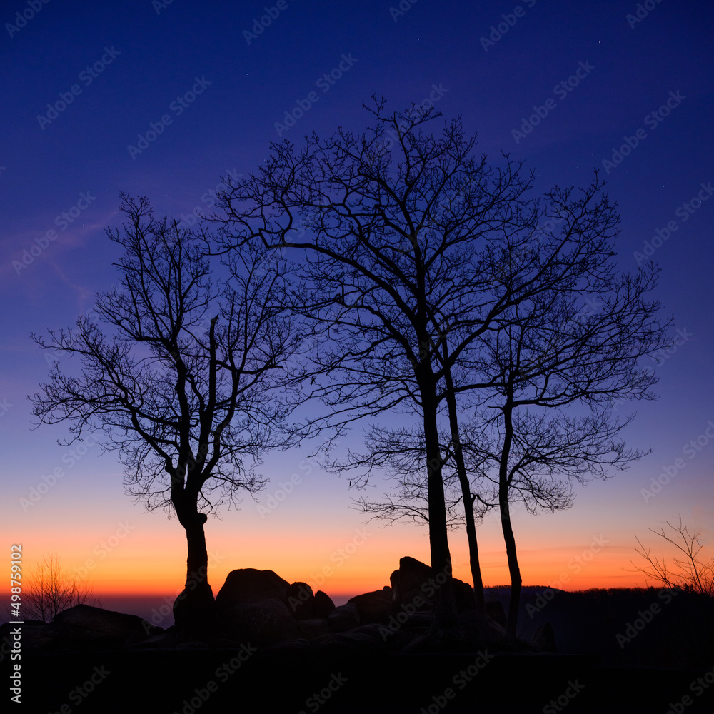 Stars Fading Into the Approaching Sunrise at the Hazel Mountain Overlook Stars Fading Into the Approaching Sunrise at the Hazel Mountain Overlook